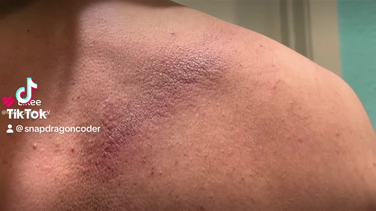 Some reptilians have it better than others #cringetruth