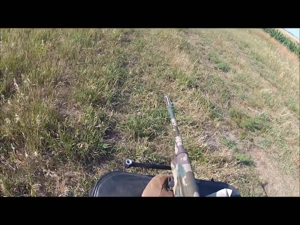 a little shootin