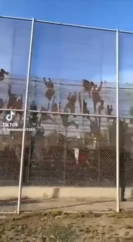 Southern Border Looks Like World War Z