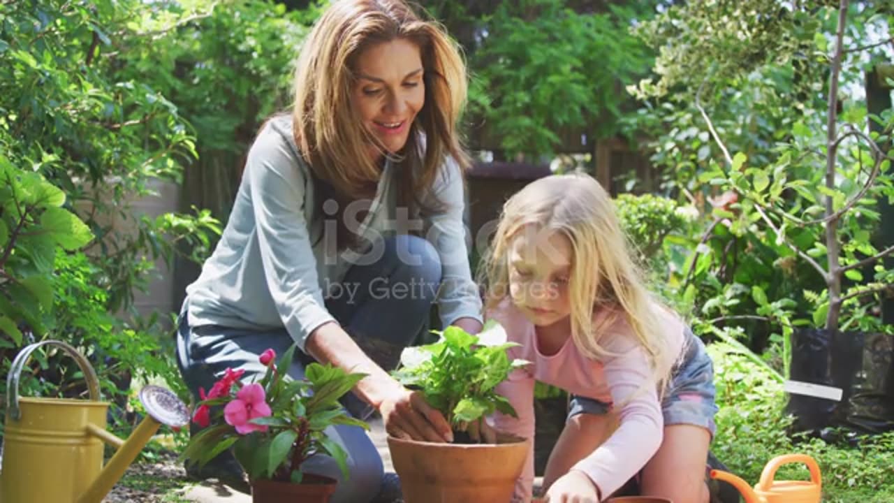 Mother and daughter are replanting in the garden stock video