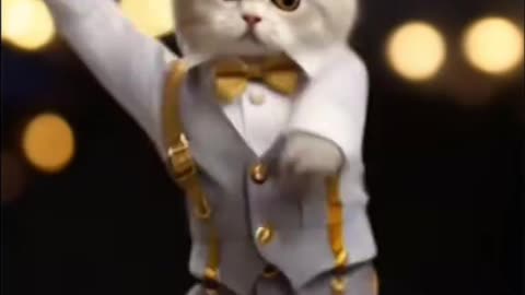 Dancing Cat