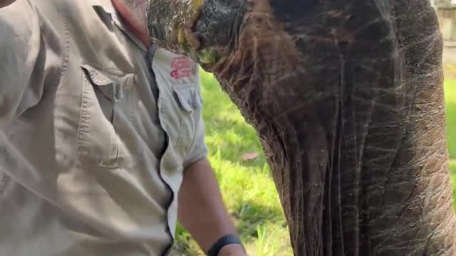 106 Year Old Galapagos Tortoise! 🐢 😱