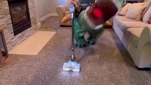 If people rode dinosaurs instead of walked_-- _daniellabelle1_-__dinosaur _funny