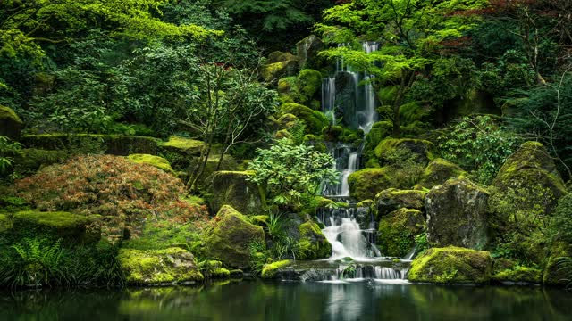 Relaxing Music Japanese Garden