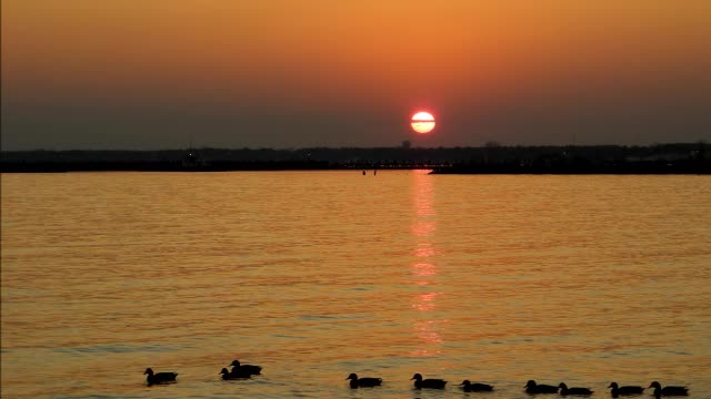 Tawas Bay, Michigan Sunsets