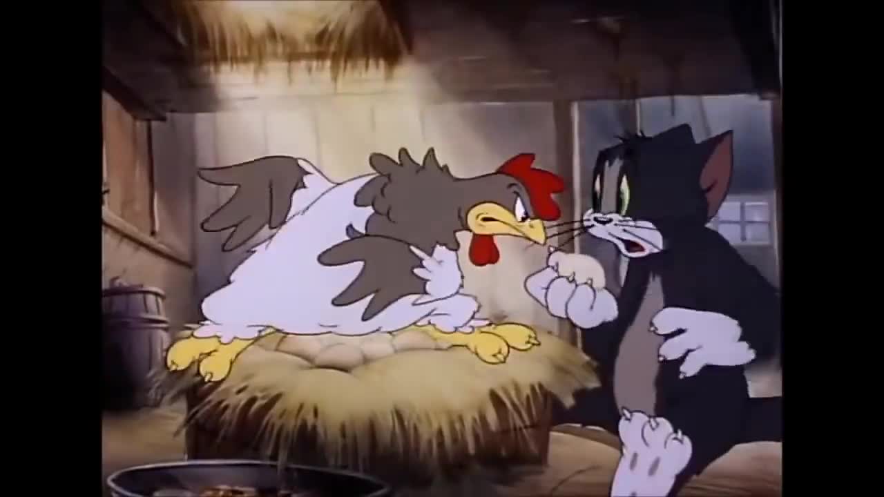 Cat and Mouse - Tom Jerry, hen