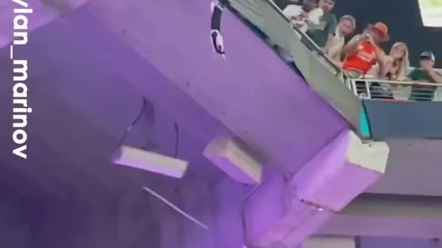 Fans Catch CAT Plummeting from Stadium