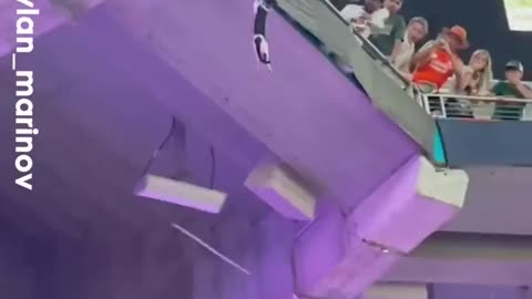 Fans Catch CAT Plummeting from Stadium