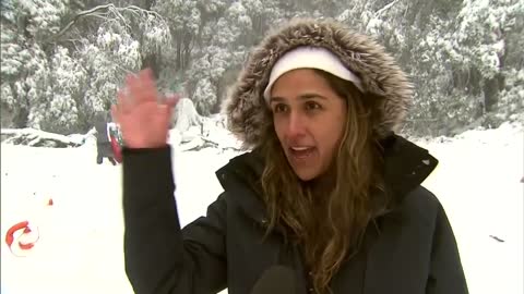 Antarctic blast hits Victoria as temperatures plummet | 9 News Australia