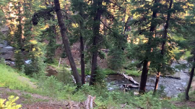 Central Oregon - Three Sisters Wilderness - Trail Perspective of Creek