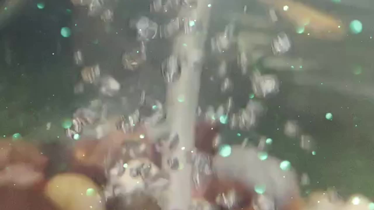 Water bubble in aquarium