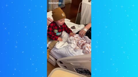 Toddler meets newborn little brother in adorable moment