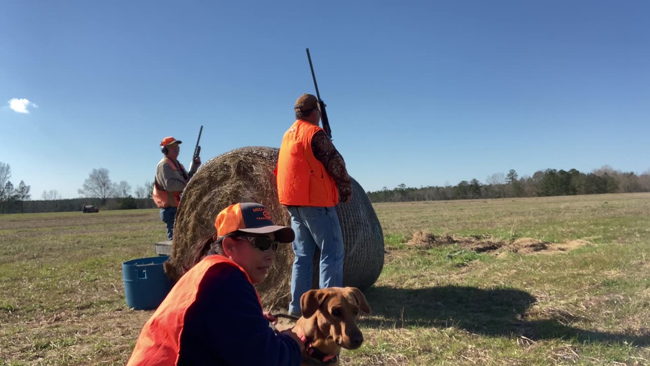 Tater's First Pheasant Shoot