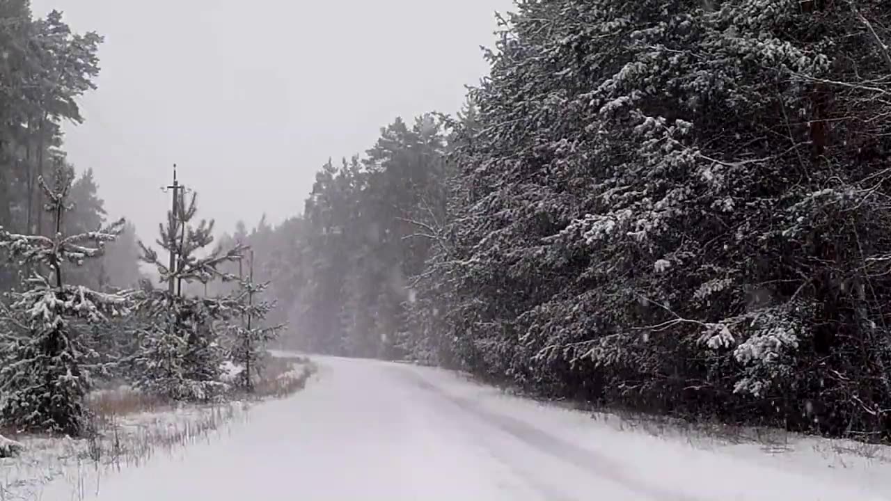 Snow fall, Nature video