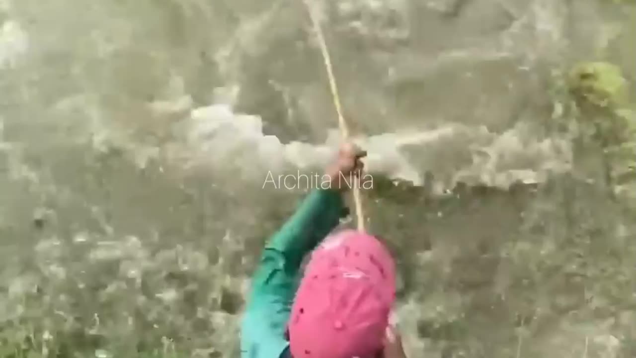 🤣 Fish Fight Video 😂