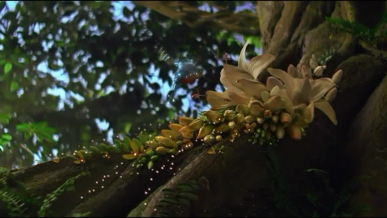 India natural wonderful video
