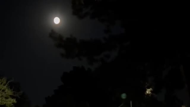 harvest moon #greenscreenvideo #foryoupage #landscape #moon #lunar #trending #viral #fyp