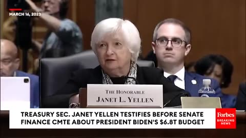 'This Budget Only Seeks To Isolate And Divide Us'- Tim Scott Grills Janet Yellen On Biden Budget