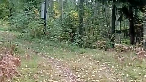 Majoituksen teko hätätilanteessa