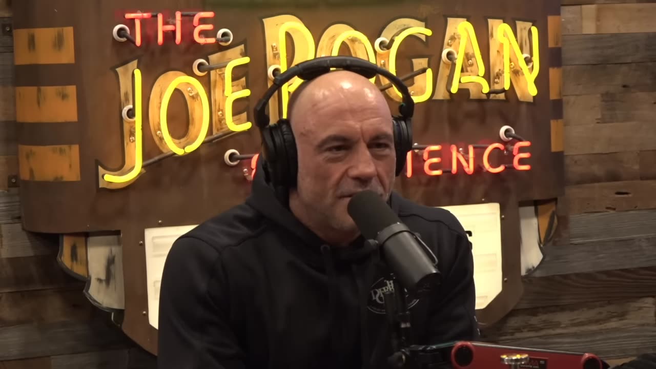 Joe Rogan I Kissed A King Cobra!