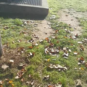 amaca camper il primo camper con amaca ideato da enrico valbonesi 3294167403