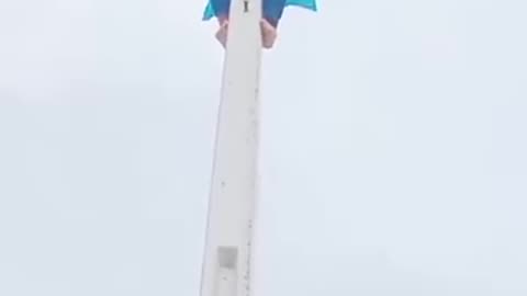 PTI tiger