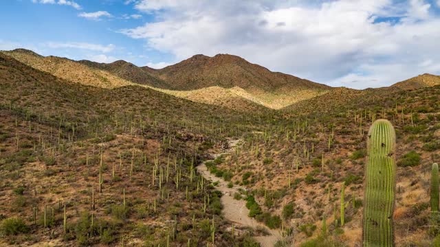 SAGUARO Nationa