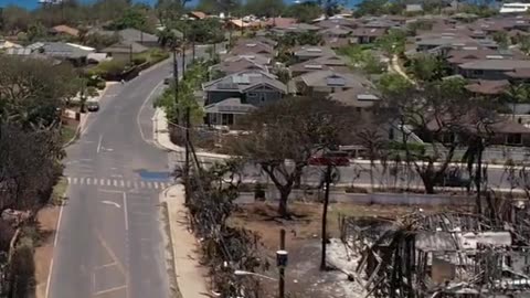 @CygnusGeoff shares more unreleased video clips while being at the site of Lahaina fires