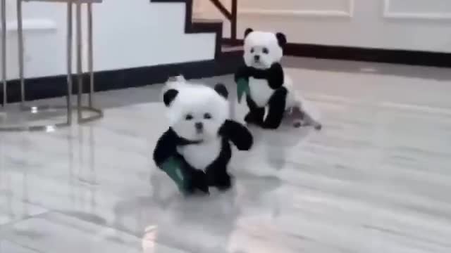 Parece Mais Não é...