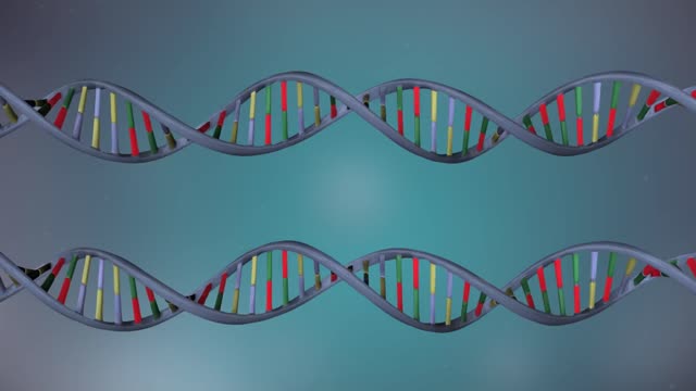 DNA replication