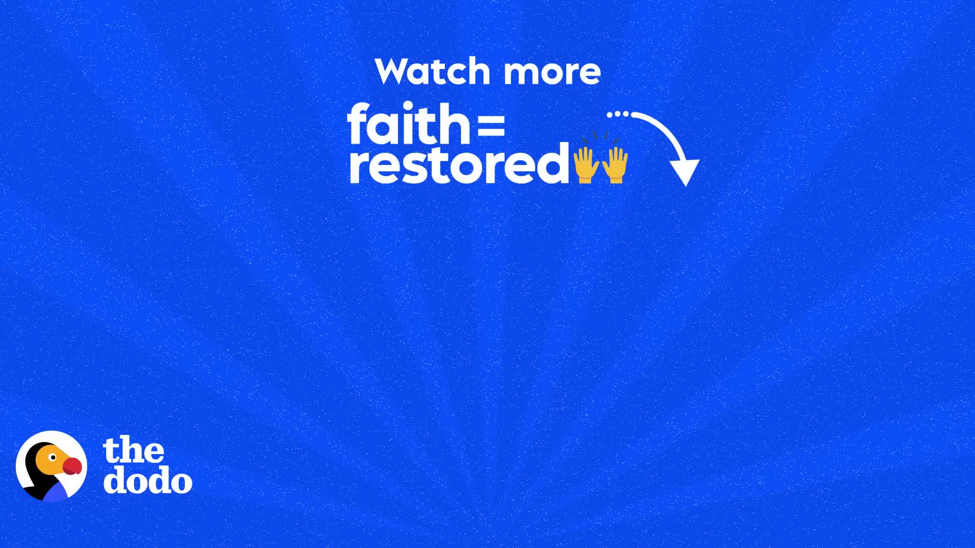 Girl Is Determined To Earn This Cat S Love The Dodo Faith Restored