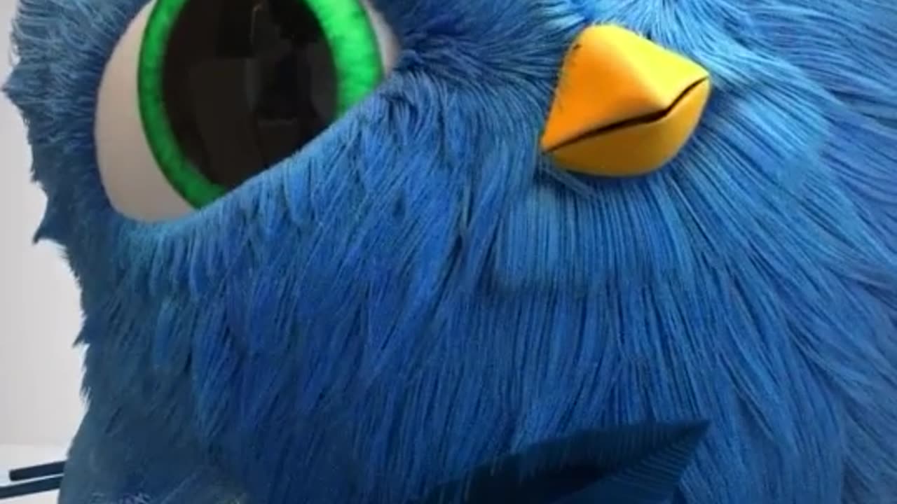 Why
