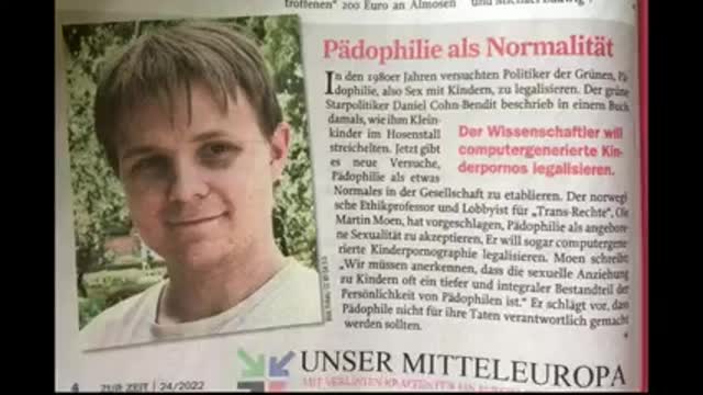 Die Grünen - ein Portrait 😎