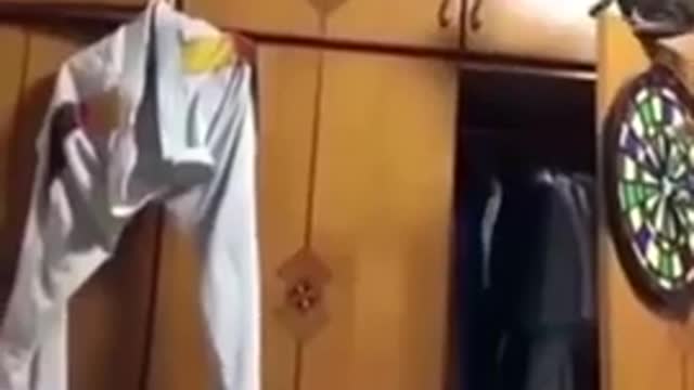 Funniest Cat And Dogs 😂 Funny Animal Videos 2022 #1