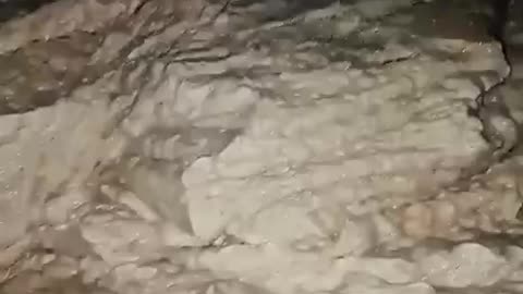 Gross... McDonald’s Chicken Nuggets
