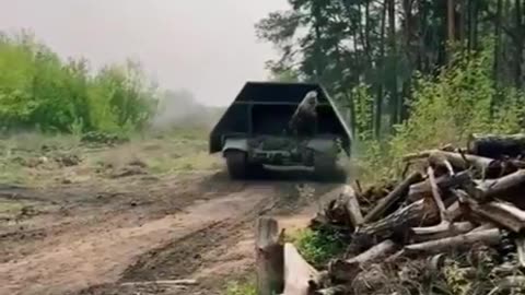 Closer Look at a "Tsar-Mangal" Turtle Tank