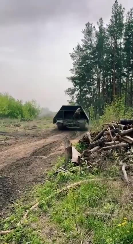 Closer Look at a "Tsar-Mangal" Turtle Tank