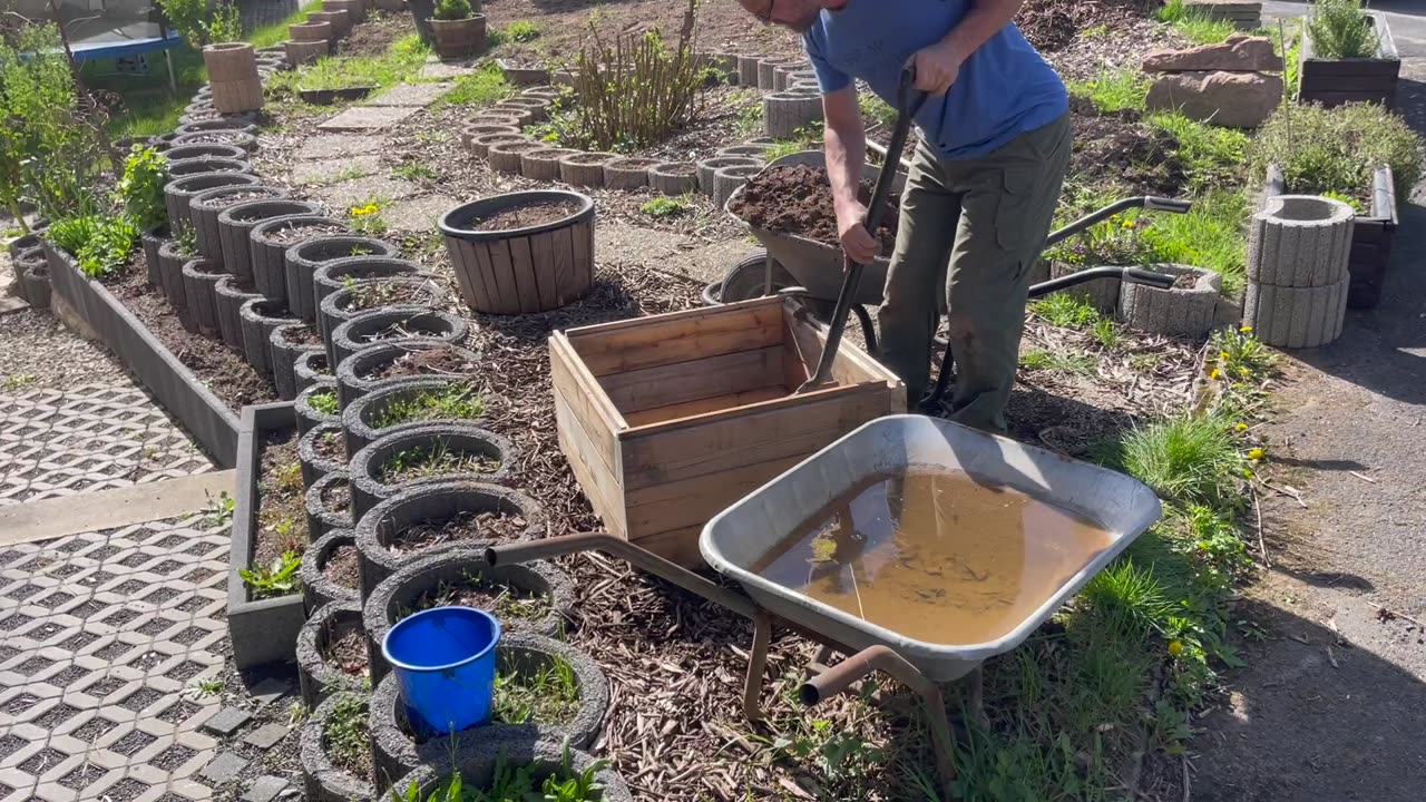 New potato boxes, growing more garden