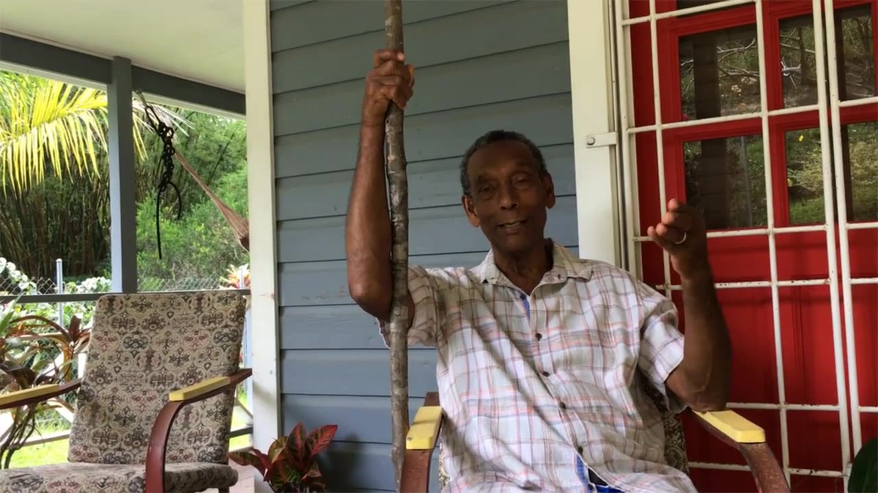 Grenada Revolution Vlog: 40 Years Later (By Dr. V's Revolution Will Not Be Pesticides)