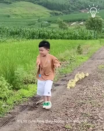 Ducklings follow kid around!