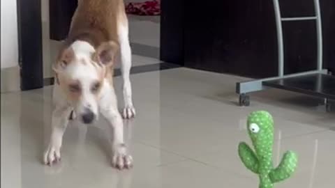 HEY STOP 🤨 MIMICKING ME!!
