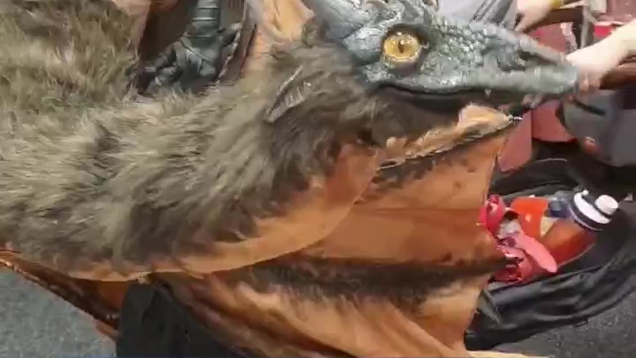 I met a dragon!!!