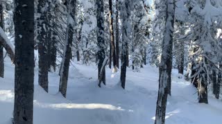 EPIC Forest Winter Wonderland – Central Oregon – Swampy Lakes Sno-Park – 4K