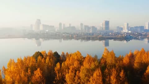 Enchanting Autumn Forests with Beautiful Piano Music