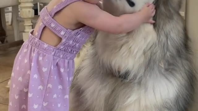 cute baby girl cuddling with puppy while mother forbidding him