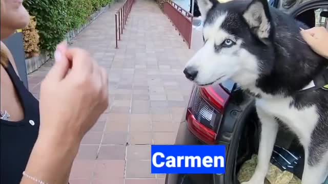 Best Dog Speak video