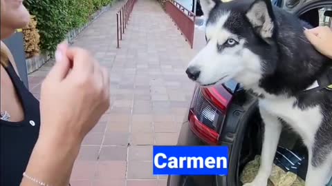 Best Dog Speak video