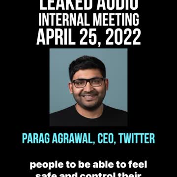 Musk - Meet The Twitter CEO's Before Their Gone