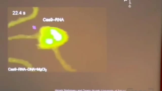 A COVID génoltásban található protein szabályosan szétvágja a DNS-t