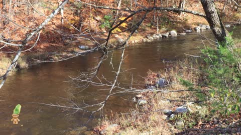 Sparkling Fall Streams and Waters